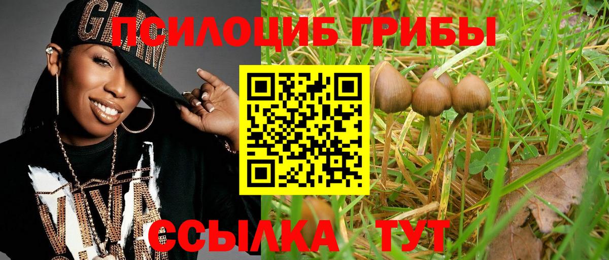 Псилоцибиновые грибы MAGIC MUSHROOMS Вичуга