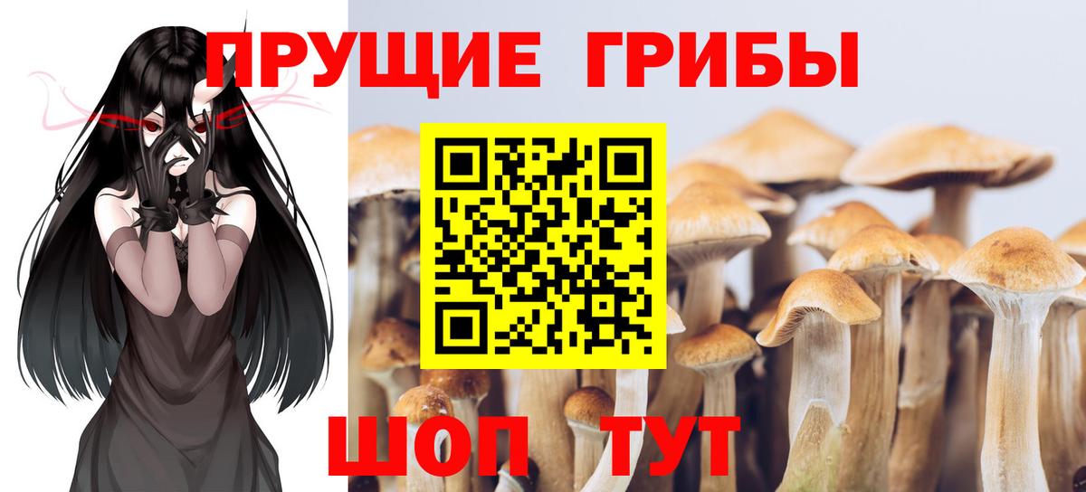 Галлюциногенные грибы мицелий  Вход с VPN  Вичуга 
